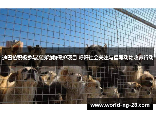 迪巴拉积极参与流浪动物保护项目 呼吁社会关注与倡导动物收养行动 迪巴拉积极参与流浪动物保护项目 呼吁社会关注与倡导动物收养行动
