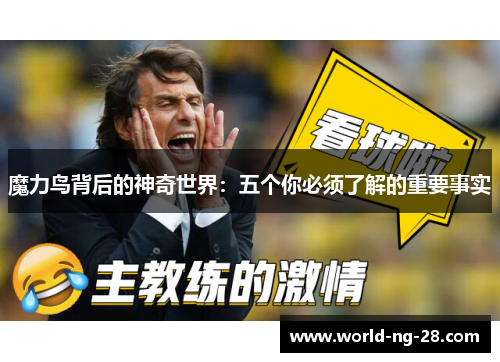 魔力鸟背后的神奇世界:五个你必须了解的重要事实 魔力鸟背后的神奇世界:五个你必须了解的重要事实
